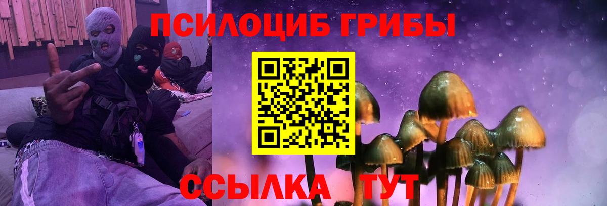 Псилоцибиновые грибы Magic Shrooms Клин
